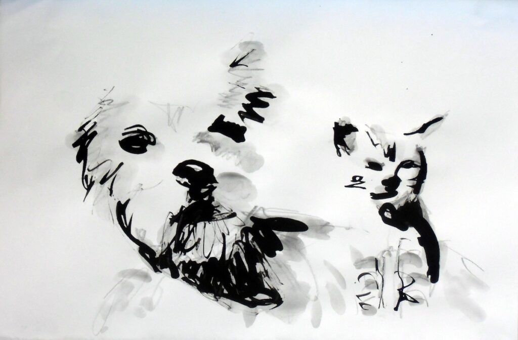 Playful black and white dog and cat portrait in ink by Ilaria Berenice