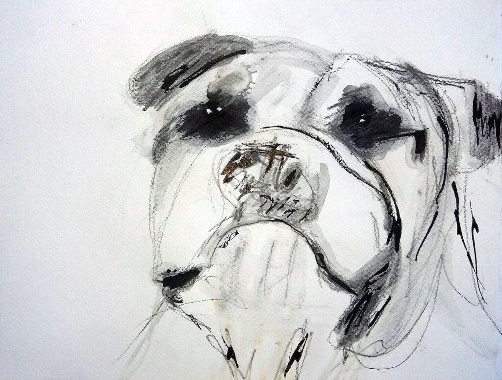 Artistic bulldog portrait in mixed media by Ilaria Berenice